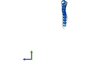 AlphaFold protein structure predicition of Mouse Recombinant Syce3 Protein, UniprotID B5KM66