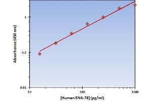 Chemokine (C-X-C Motif) Ligand 5 (CXCL5) ELISA Kit