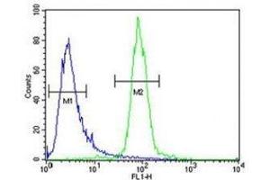 RPEL1 antibody flow cytometric analysis of K562 cells (green) compared to a negative control cell (blue). (Ribulose-5-Phosphate-3-Epimerase-Like (RPEL1) (AA 187-215) anticorps)