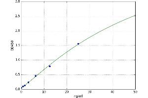 Elastin Microfibril Interfacer 1 (EMILIN1) ELISA Kit