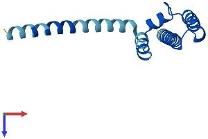 AlphaFold protein structure predicition of Human Recombinant PAM16 Protein, UniprotID Q9Y3D7