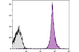BALB/c mouse splenocytes were stained with Rat Anti-Mouse CD45-PE/CY5.