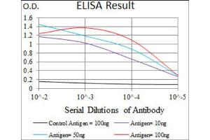 Red: Control Antigen (100ng) ; Purple: Antigen (10ng) ; Green: Antigen (50ng) ; Blue: Antigen (100ng). (BMPR1A anticorps  (AA 179-378))