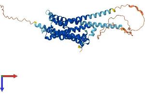 AlphaFold protein structure predicition of Mouse Recombinant Htr1a Protein, UniprotID Q64264