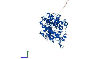 AlphaFold protein structure predicition of Mouse Recombinant Scd1 Protein, UniprotID P13516