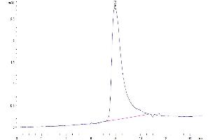 The purity of Human IL-22 is greater than 95 % as determined by SEC-HPLC.