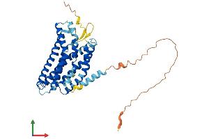 AlphaFold protein structure predicition of Mouse Recombinant Gpr4 Protein, UniprotID Q8BUD0