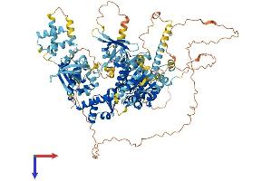 AlphaFold protein structure predicition of Mouse Recombinant Helb Protein, UniprotID Q6NVF4