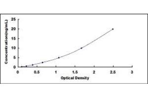 Typical standard curve (SBEM Kit ELISA)
