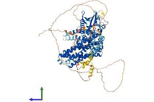 AlphaFold protein structure predicition of Human Recombinant ARHGEF1 Protein, UniprotID Q92888