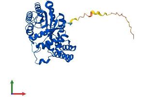 AlphaFold protein structure predicition of Human Recombinant AKR7A2 Protein, UniprotID O43488