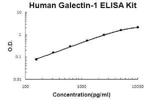 Human Galectin-1 EZ Set ELISA Kit standard curve (Humain Galectin-1 EZ Set™ ELISA Kit (DIY Antibody Pairs))