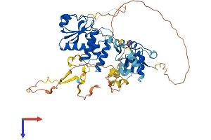 AlphaFold protein structure predicition of Human Recombinant DUSP10 Protein, UniprotID Q9Y6W6