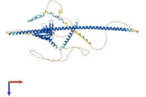 AlphaFold protein structure predicition of Human Recombinant ENAH Protein, UniprotID Q8N8S7