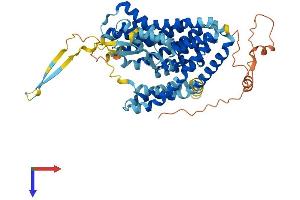 AlphaFold protein structure predicition of Mouse Recombinant Slc1a7 Protein, UniprotID Q8JZR4
