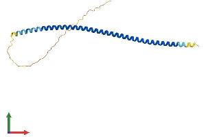 AlphaFold protein structure predicition of Human Recombinant FAM9B Protein, UniprotID Q8IZU0