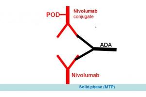 Image no. 1 for Nivolumab Antibody ELISA Kit (ABIN5012828)