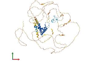 AlphaFold protein structure predicition of Human Recombinant TCF7L2 Protein, UniprotID Q9NQB0