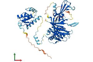 AlphaFold protein structure predicition of Human Recombinant USP22 Protein, UniprotID Q9UPT9