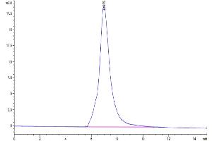 The purity of Biotinylated Human IL-1 Rrp2 is greater than 95 % as determined by SEC-HPLC.