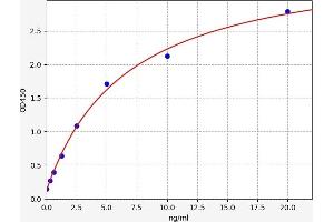 Fatty Acid Synthase (FASN) ELISA Kit