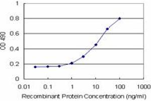 ARHGDIA (Human) Matched Antibody Pair