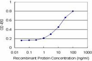 Sandwich ELISA detection sensitivity ranging from 1 ng/mL to 100 ng/mL. (ARHGDIA (Humain) Matched Antibody Pair)