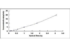 Typical standard curve (FLASH Kit ELISA)