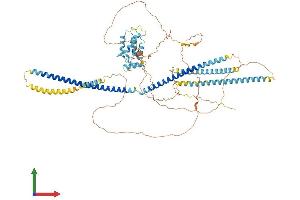 AlphaFold protein structure predicition of Human Recombinant CCPG1 Protein, UniprotID Q9ULG6