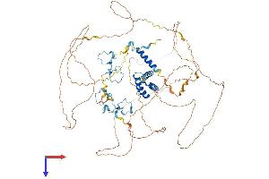 AlphaFold protein structure predicition of Human Recombinant ZC3H14 Protein, UniprotID Q6PJT7