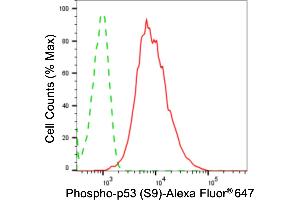 Flow cytometric analysis of phospho-p53 (S9) expression in HeLa cells using phospho-p53 (S9) antibody (ABIN7800684), 1:2,000). (Recombinant p53 anticorps  (pSer9))