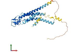 AlphaFold protein structure predicition of Mouse Recombinant Gjb3 Protein, UniprotID P28231
