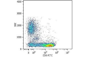 Surface staining of human peripheral blood cells with anti-human CD6 (MEM-98) FITC.