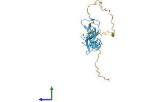 AlphaFold protein structure predicition of Human Recombinant CSRP1 Protein, UniprotID P21291