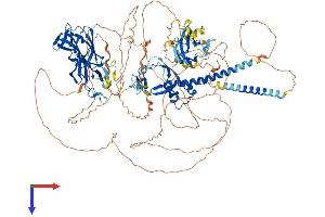 AlphaFold protein structure predicition of Human Recombinant MYRF Protein, UniprotID Q9Y2G1
