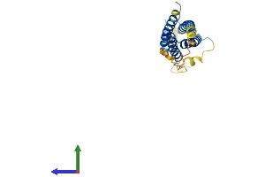 AlphaFold protein structure predicition of Human Recombinant NKAIN2 Protein, UniprotID Q5VXU1
