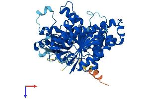 AlphaFold protein structure predicition of Human Recombinant TUBB3 Protein, UniprotID Q13509