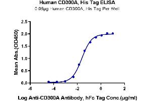 Immobilized Human CD300A, His Tag at 0.