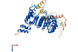 AlphaFold protein structure predicition of Human Recombinant FBXO33 Protein, UniprotID Q7Z6M2