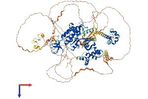 AlphaFold protein structure predicition of Mouse Recombinant Tnk2 Protein, UniprotID O54967