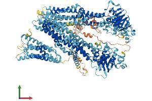 AlphaFold protein structure predicition of Mouse Recombinant Abcc3 Protein, UniprotID B2RX12