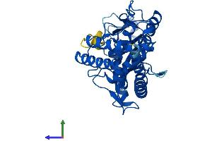 AlphaFold protein structure predicition of Mouse Recombinant Mab21l2 Protein, UniprotID Q8BPP1