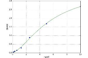 A typical standard curve (S100A1 Kit ELISA)
