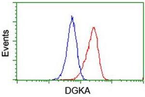 Flow Cytometry (FACS) image for anti-Diacylglycerol Kinase, alpha 80kDa (DGKA) antibody (ABIN1497815) (DGKA anticorps)