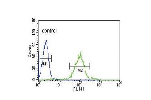 Flow cytometric analysis of HL-60 cells (right histogram) compared to a negative control cell (left histogram). (IRF8 anticorps  (C-Term))