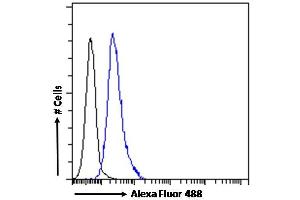 (ABIN263230) Flow cytometric analysis of paraformaldehyde fixed HEK293 cells (blue line), permeabilized with 0.