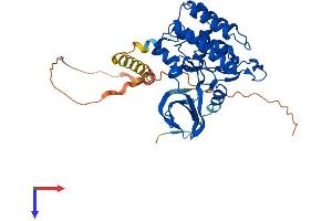 AlphaFold protein structure predicition of Human Recombinant CSNK1E Protein, UniprotID P49674