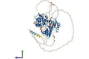 AlphaFold protein structure predicition of Mouse Recombinant Map3k2 Protein, UniprotID Q61083