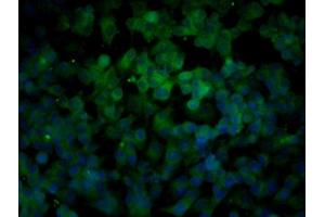 Image provided by One World Lab validation program.