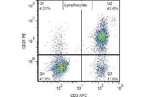 Surface staining of human peripheral blood cells with anti-human CD26 (BA5b) PE.